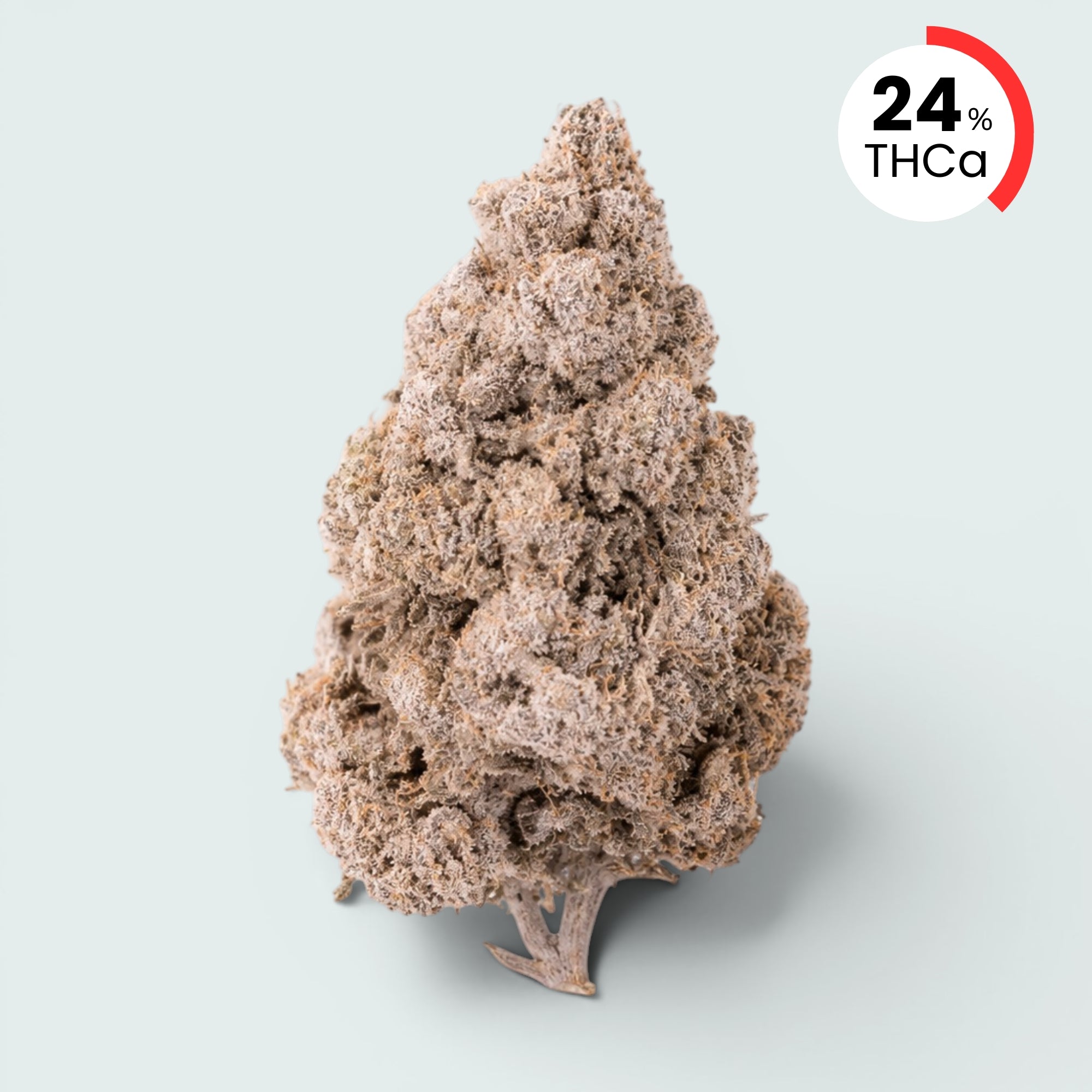 Zkittles - 24% THCA
