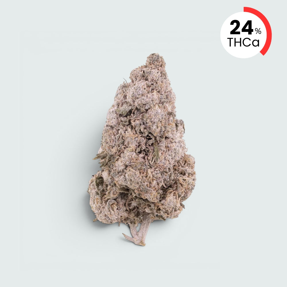 Zkittles - 24% THCA