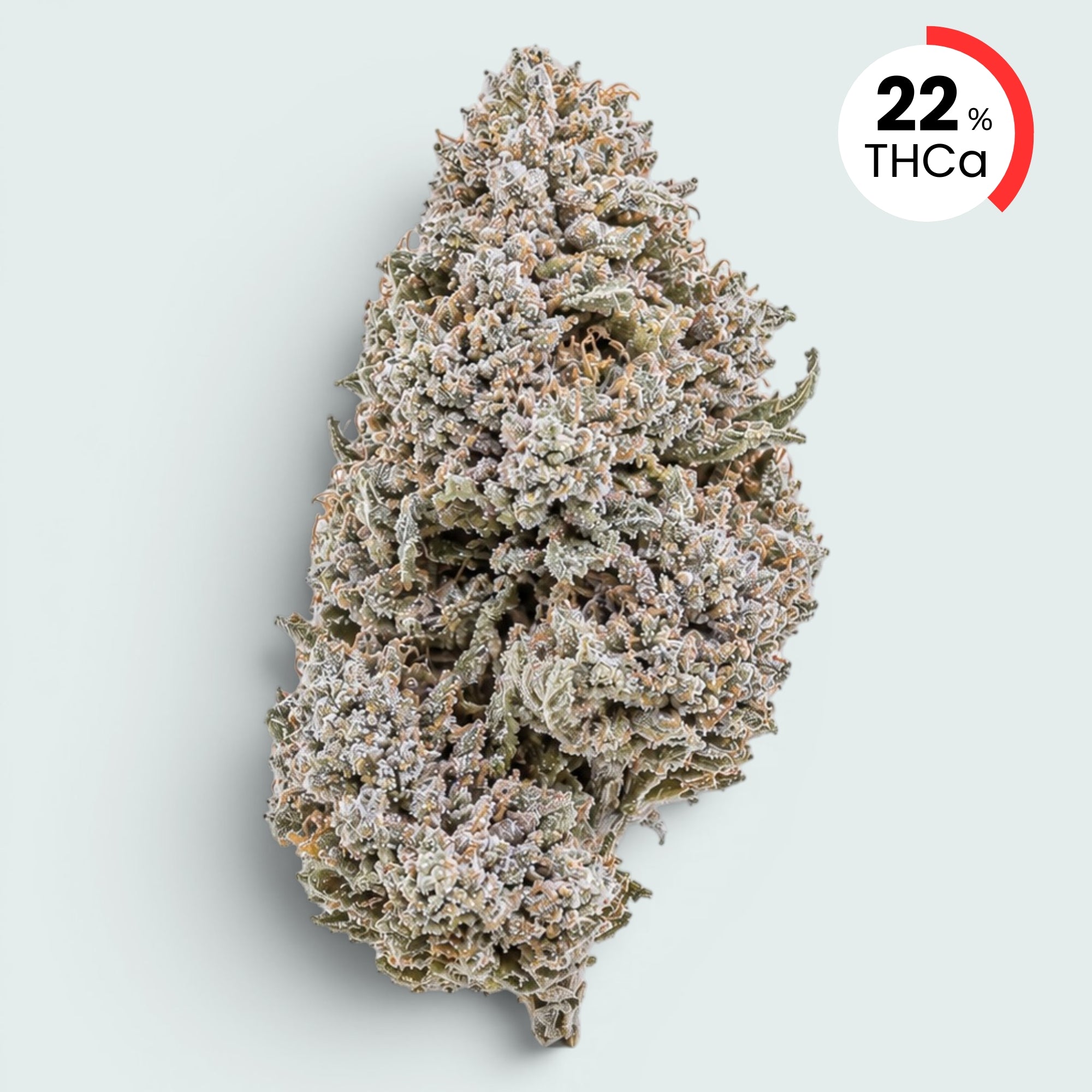 Bangkok Sativa - 22% THCA