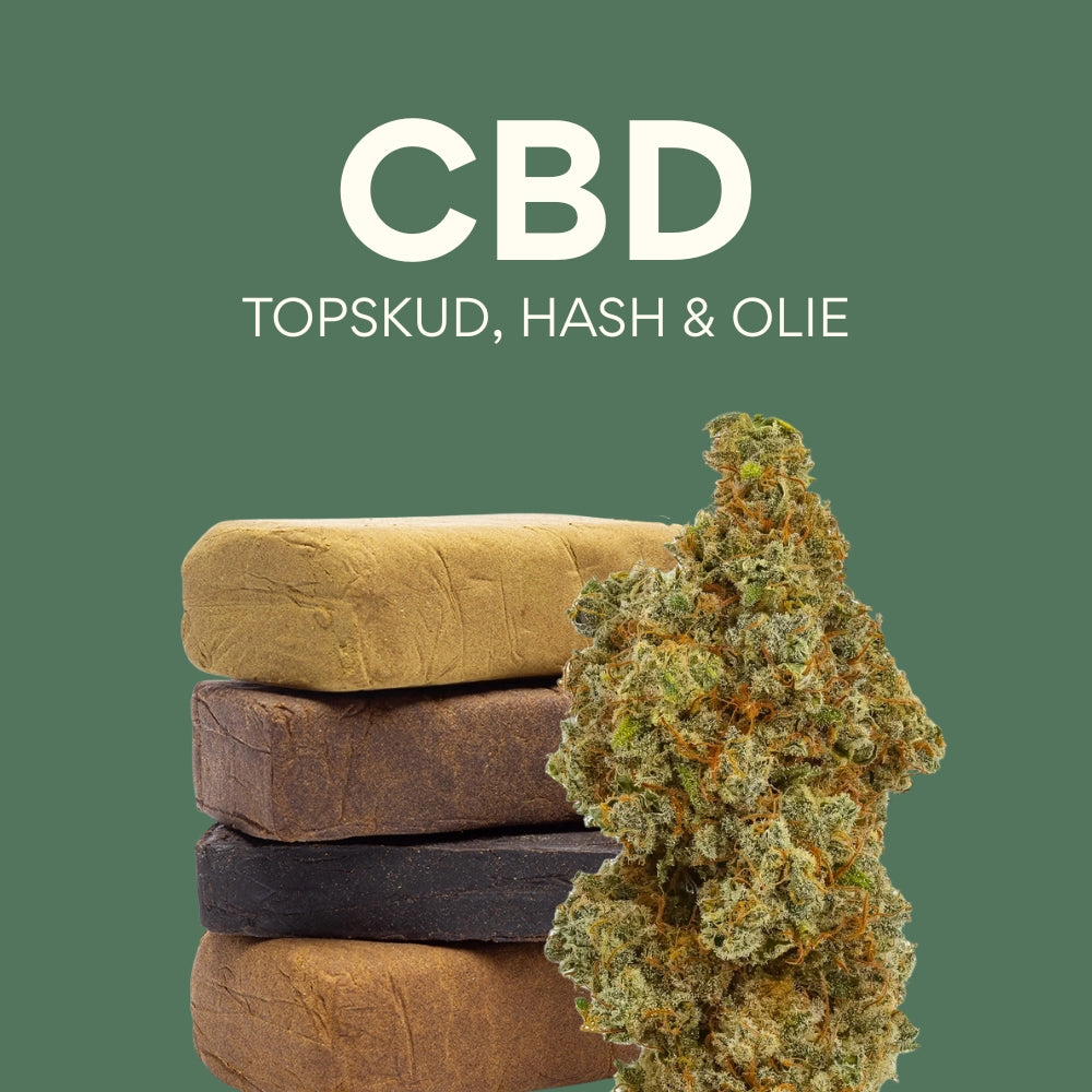 FW Headshop