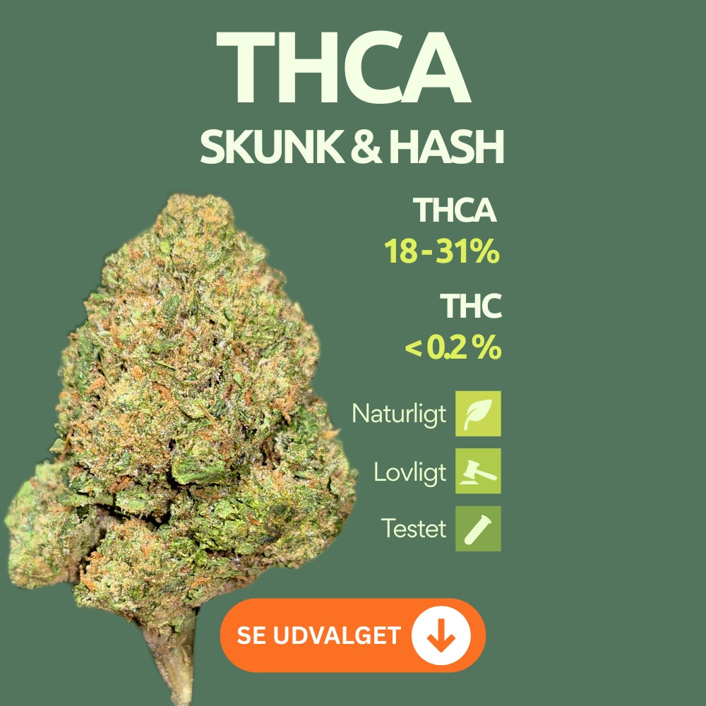 FW Headshop