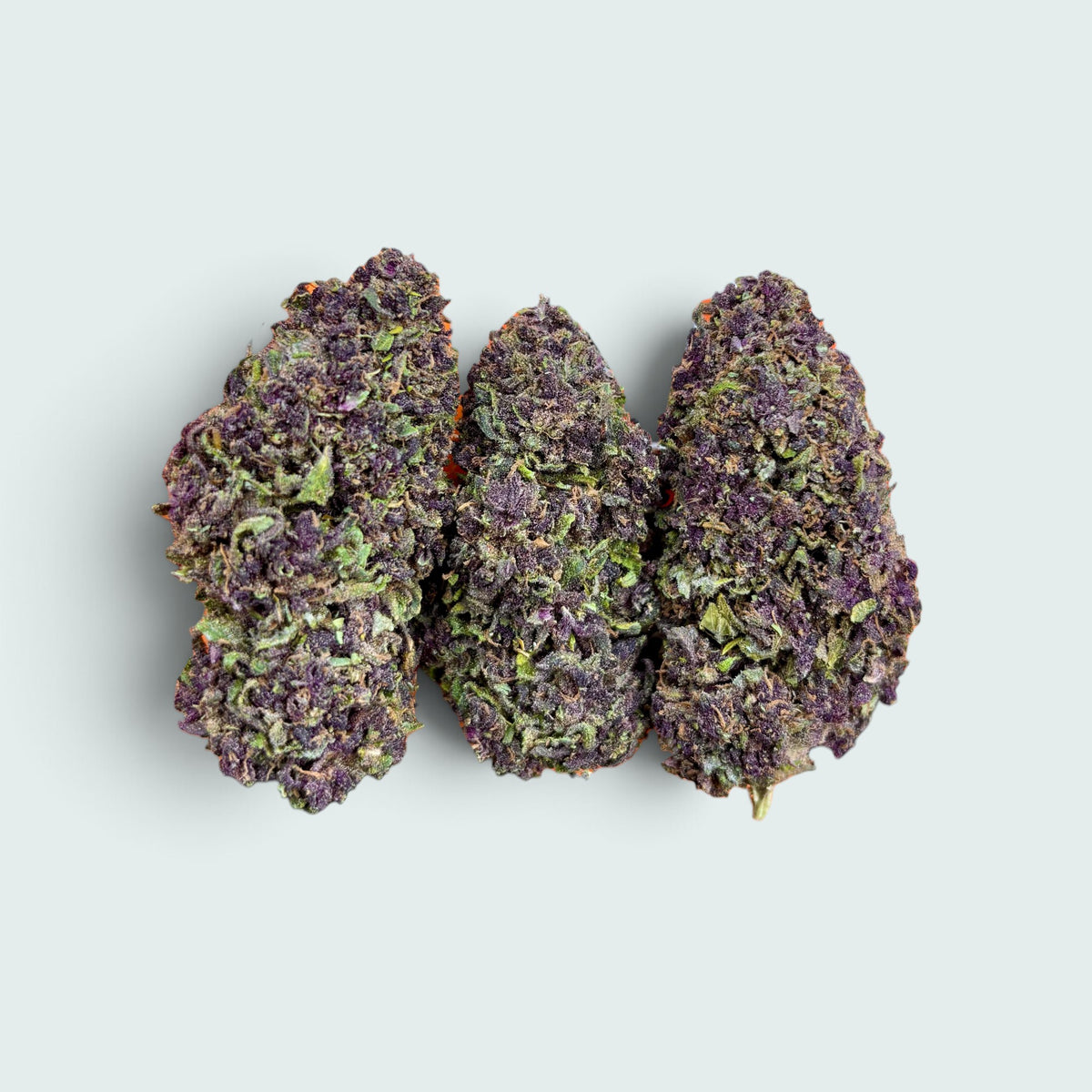 Purple Lime - 10% CBD