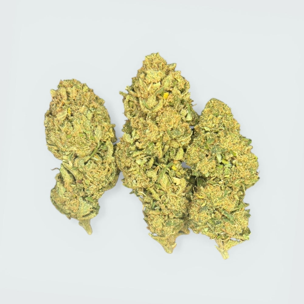 Gorilla - 10% CBD (NY STRAIN)