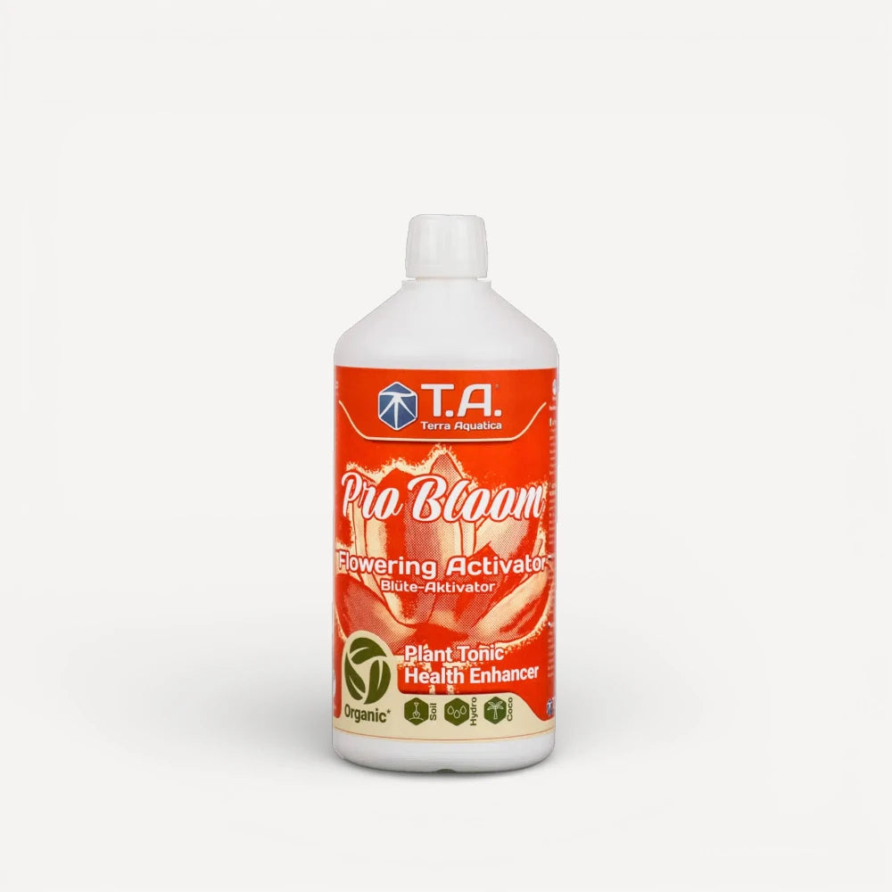 T.A Pro Bloom