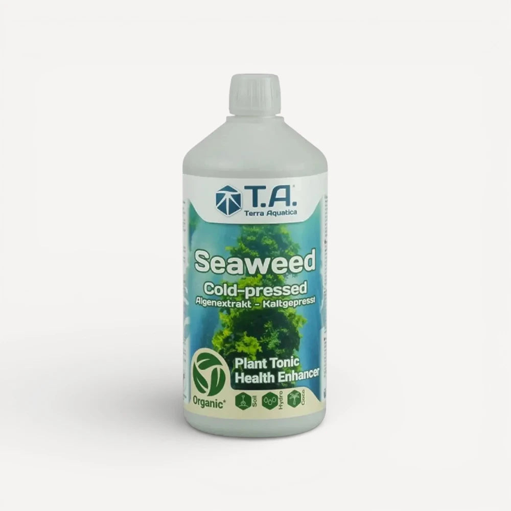 T.A Seaweed Cold-pressed