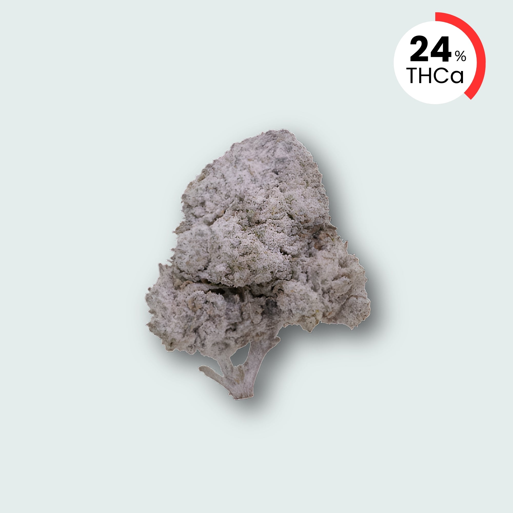 OG Kush - 24% THCA