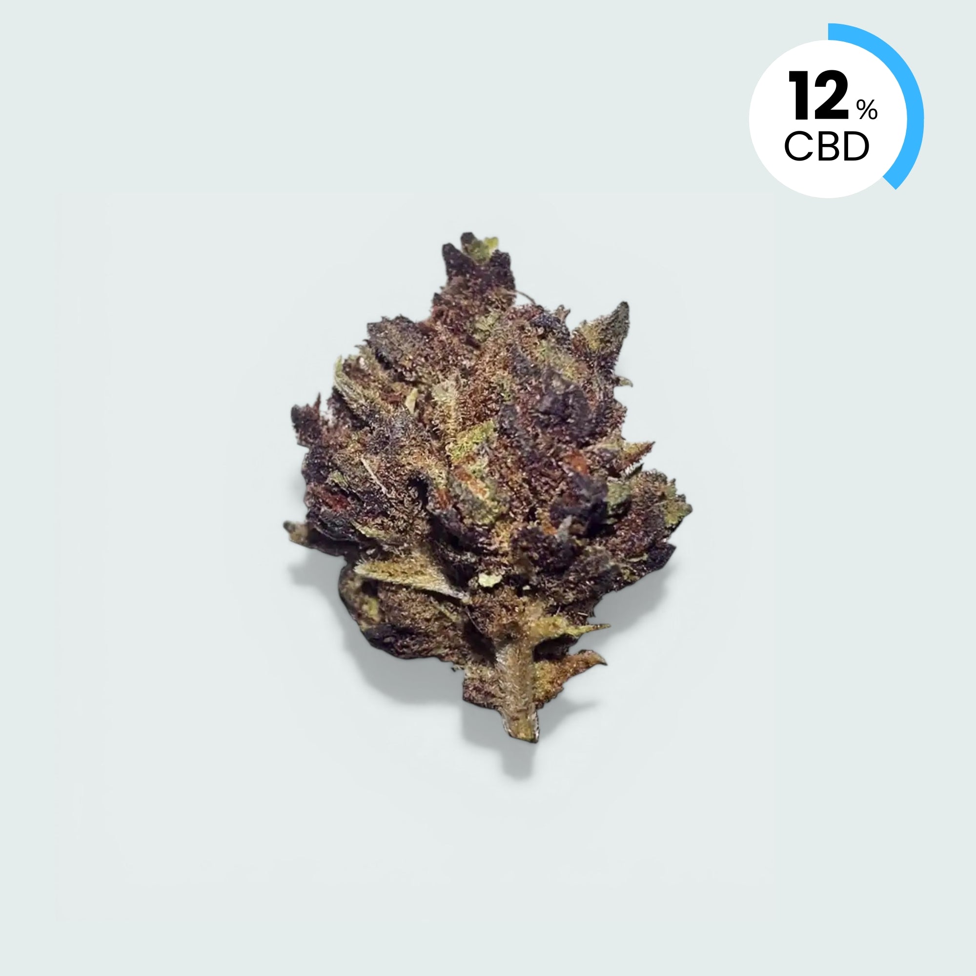 Mini Purple Haze - 12% CBD