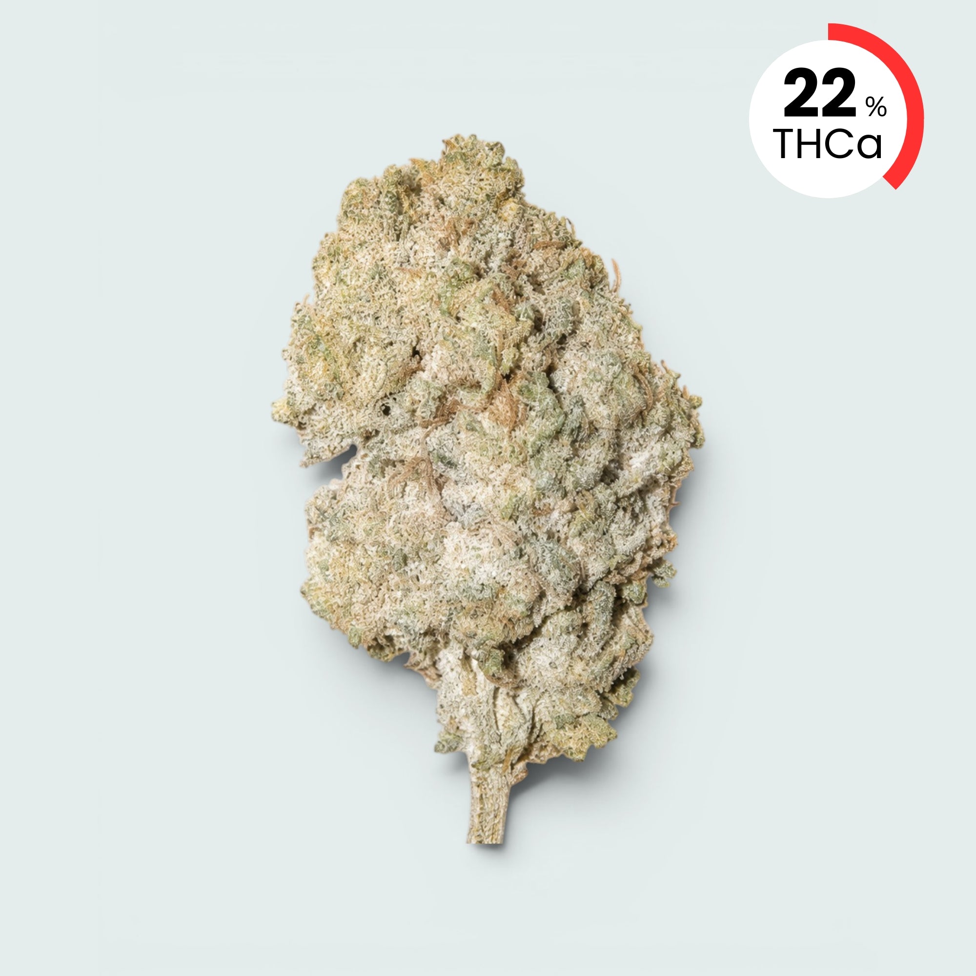 Bangkok Sativa - 22% THCA