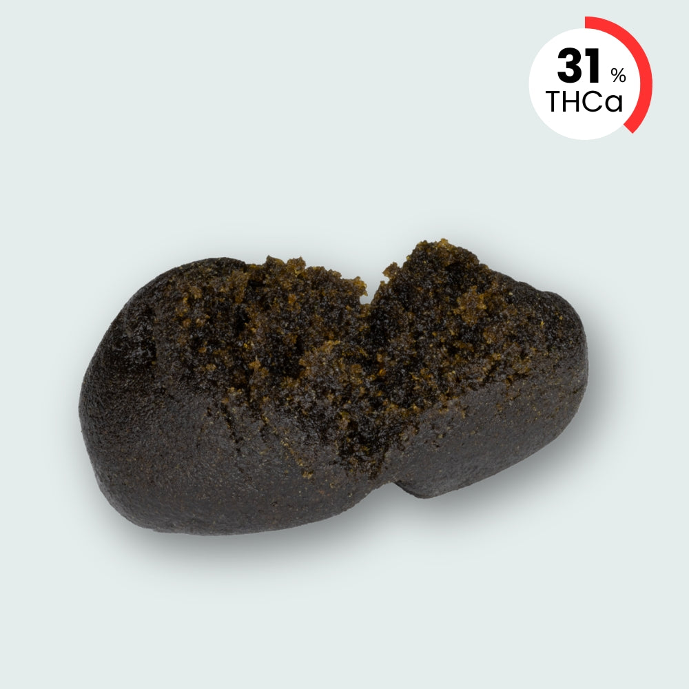 Sort Nepaleser - 31% THCA