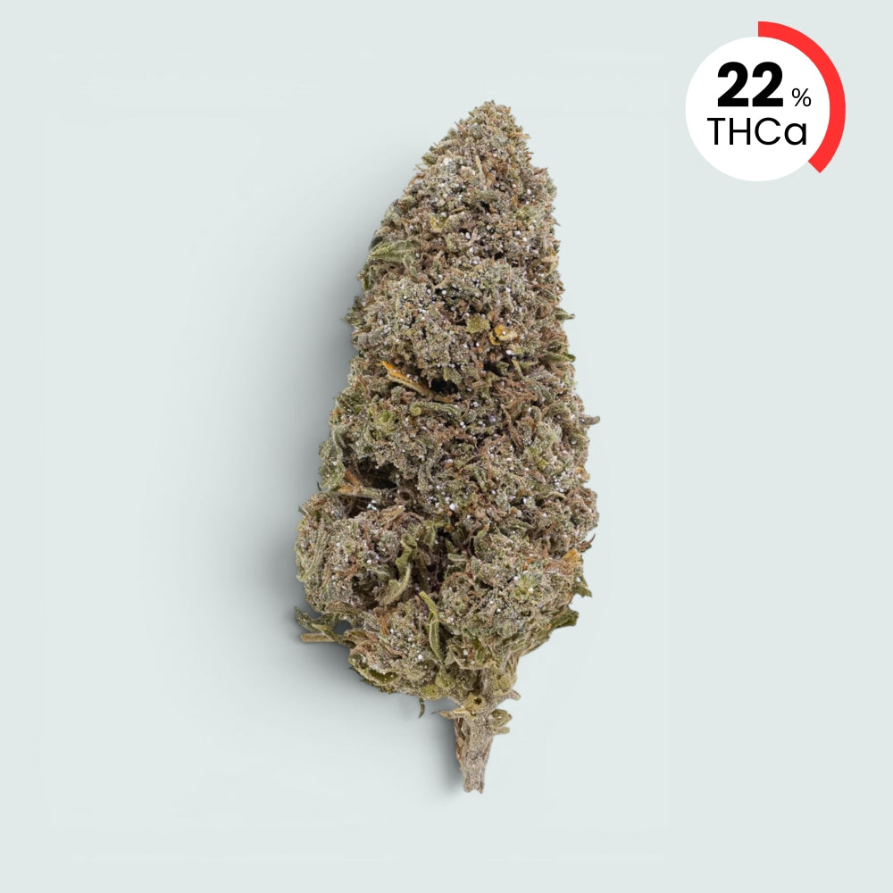 Bangkok Sativa - 22% THCA
