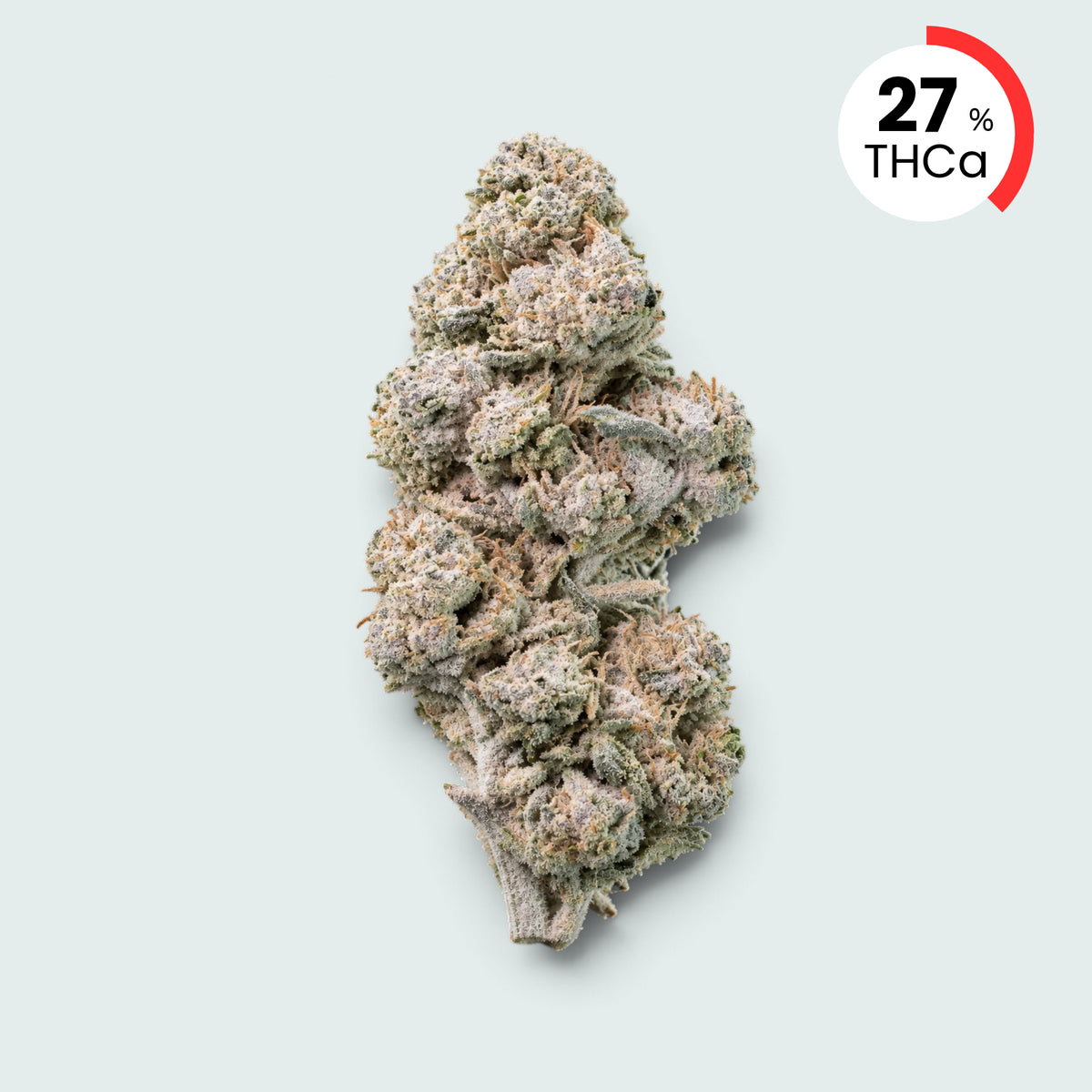 Pineapple Express | 27% THCA