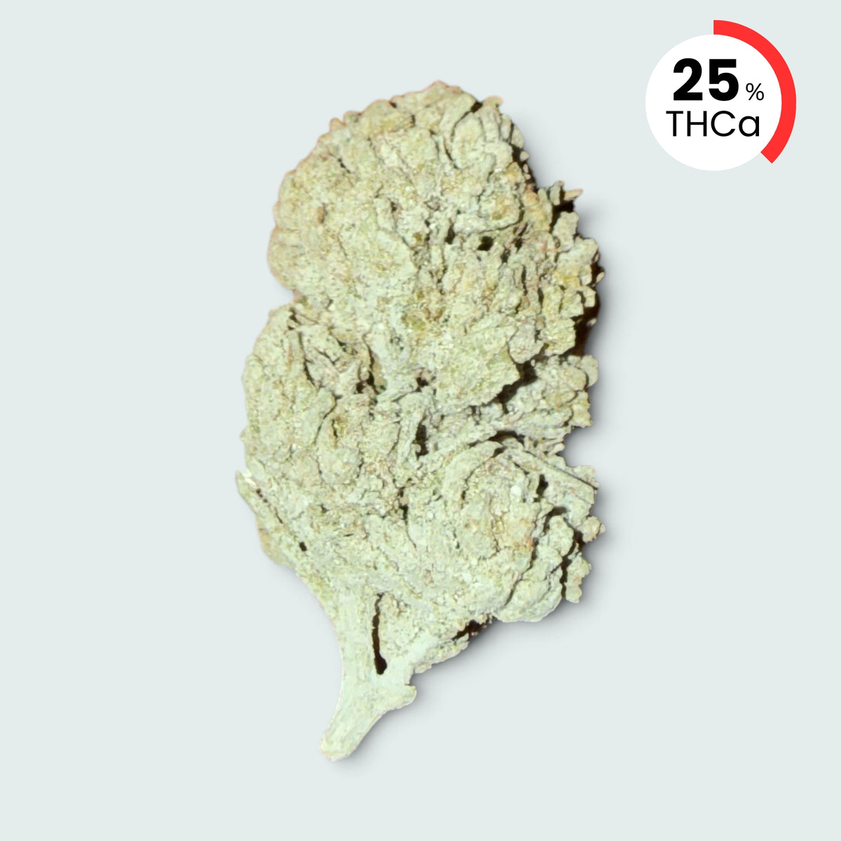 OG Kush | 25% THCA