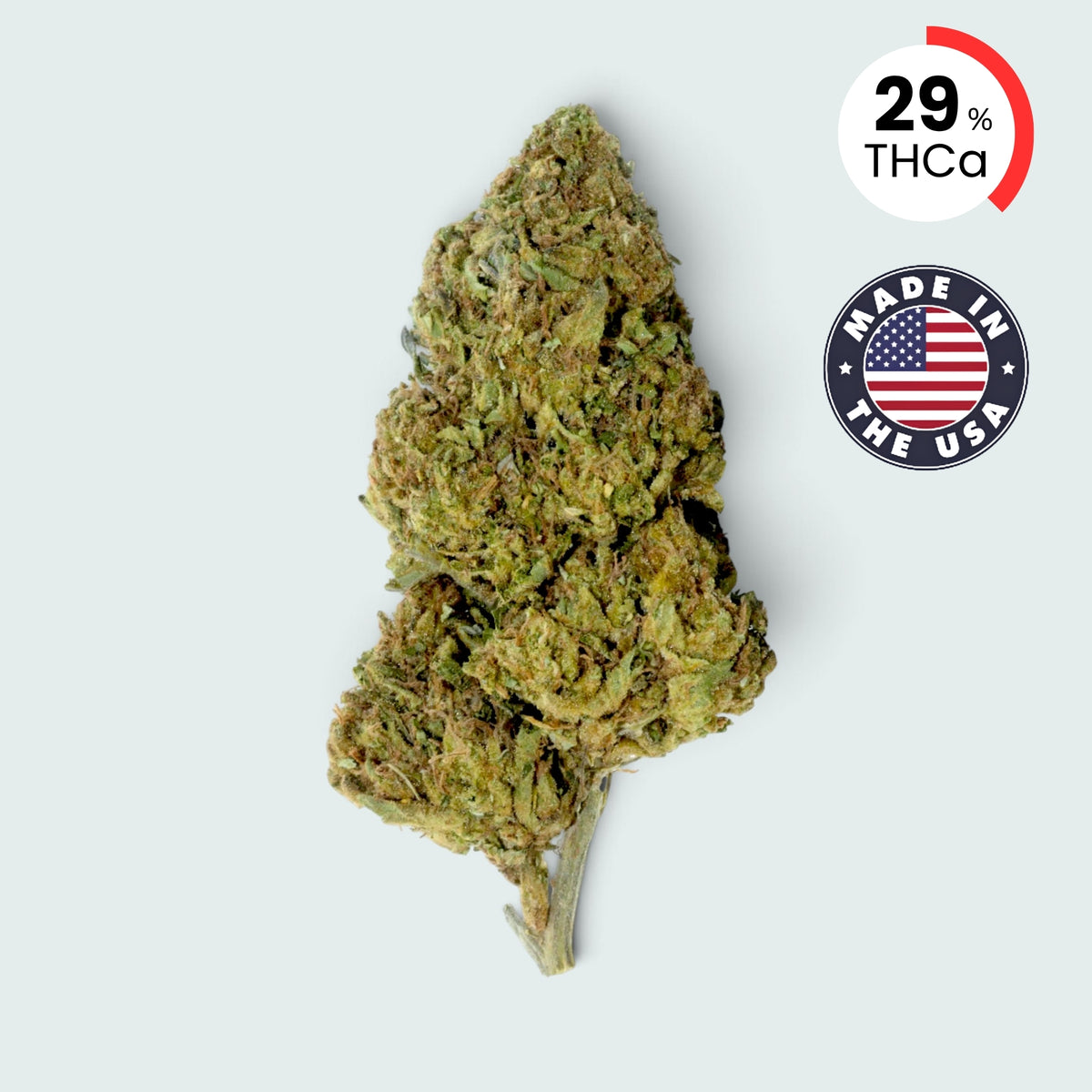 Hashburger | 29% THCA